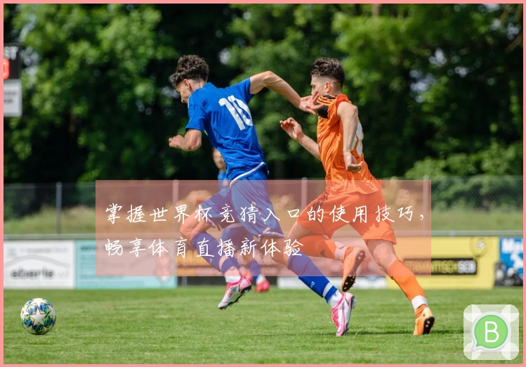 掌握世界杯竞猜入口的使用技巧，畅享体育直播新体验
