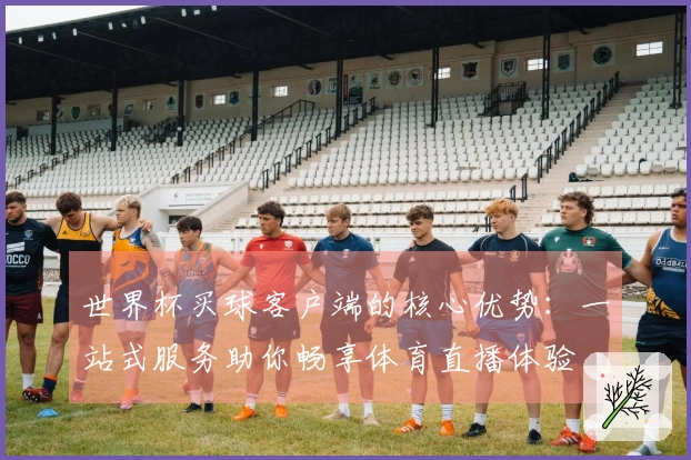 世界杯买球客户端的核心优势：一站式服务助你畅享体育直播体验