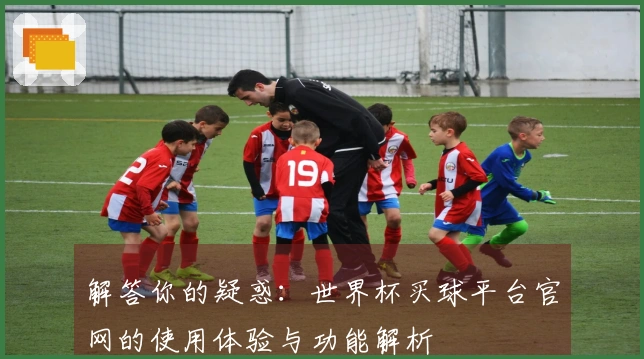 解答你的疑惑：世界杯买球平台官网的使用体验与功能解析