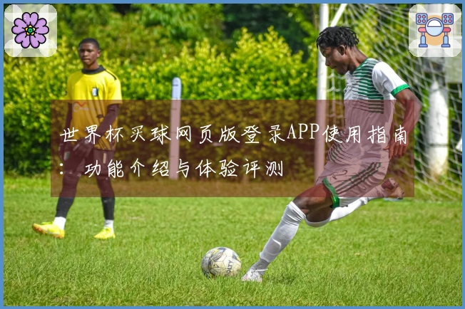 世界杯买球网页版登录APP使用指南：功能介绍与体验评测