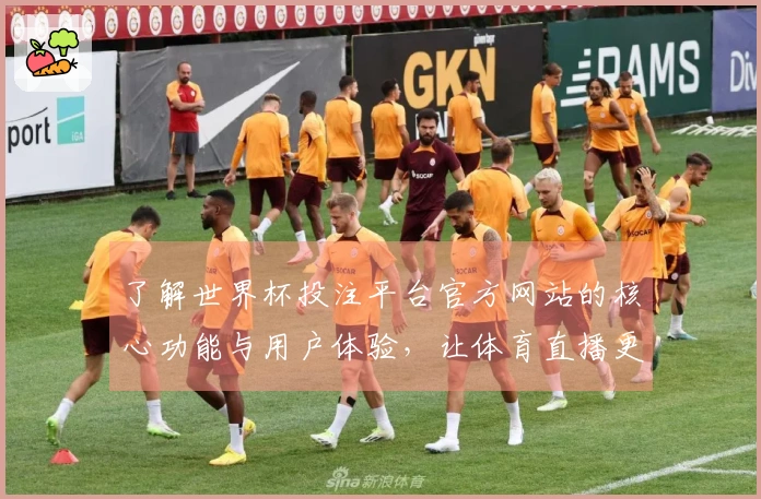 了解世界杯投注平台官方网站的核心功能与用户体验,让体育直播更畅快
