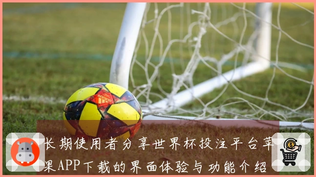 长期使用者分享世界杯投注平台苹果APP下载的界面体验与功能介绍