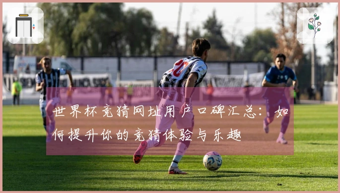 世界杯竞猜网址用户口碑汇总：如何提升你的竞猜体验与乐趣