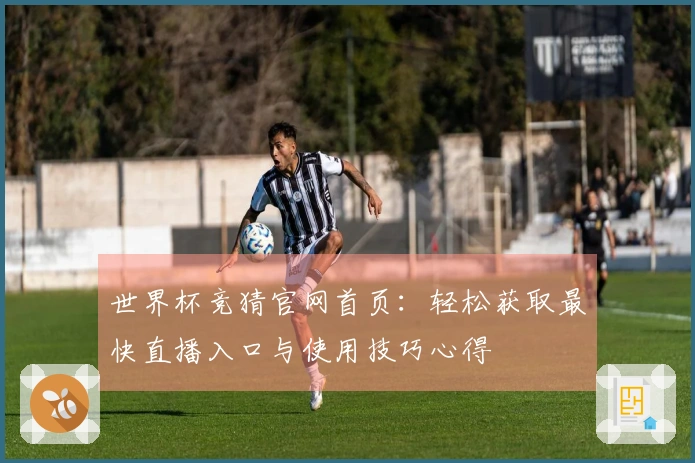 世界杯竞猜官网首页：轻松获取最快直播入口与使用技巧心得