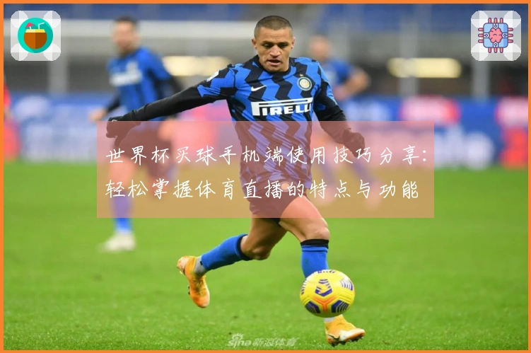 世界杯买球手机端使用技巧分享：轻松掌握体育直播的特点与功能